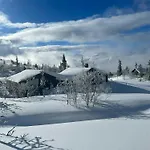 Stylish Mountain In Hallingdalen Flå