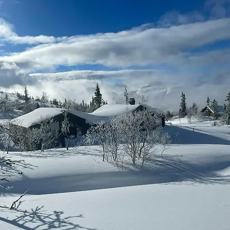 Stylish Mountain In Hallingdalen Flå