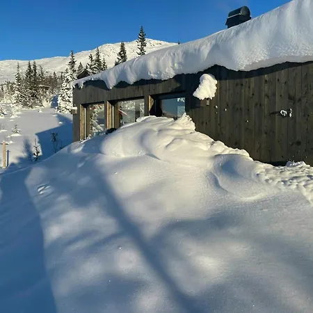 Stylish Mountain In Hallingdalen
