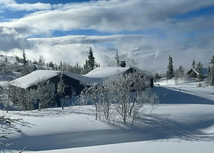 Stylish Mountain In Hallingdalen Flå